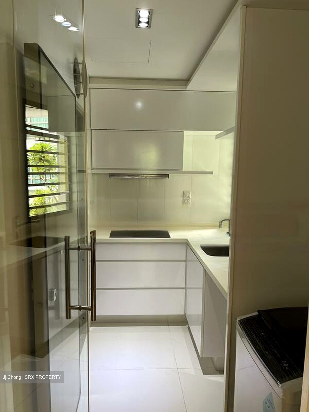 Trevista (D12), Condominium #486425971